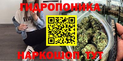 СК Партизанск