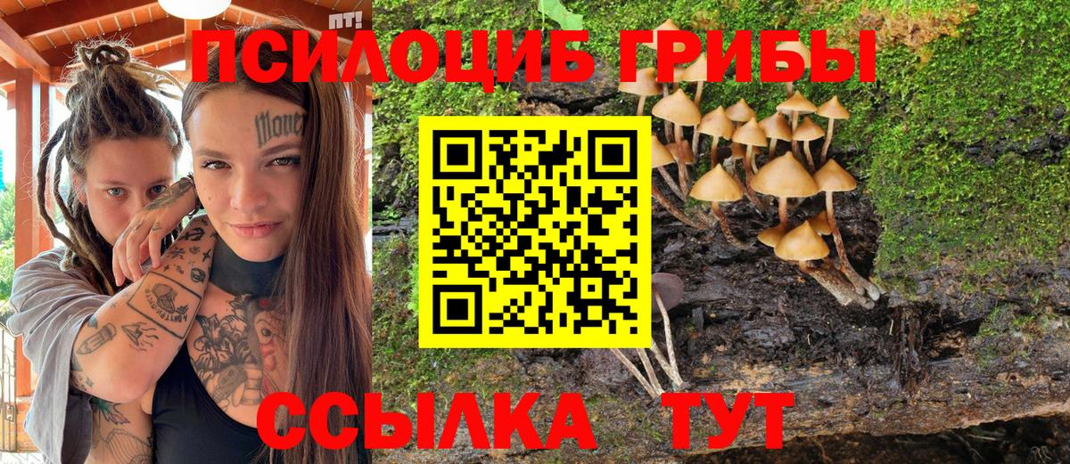Галлюциногенные грибы прущие грибы  наркошоп  Тобольск  Вход с VPN 