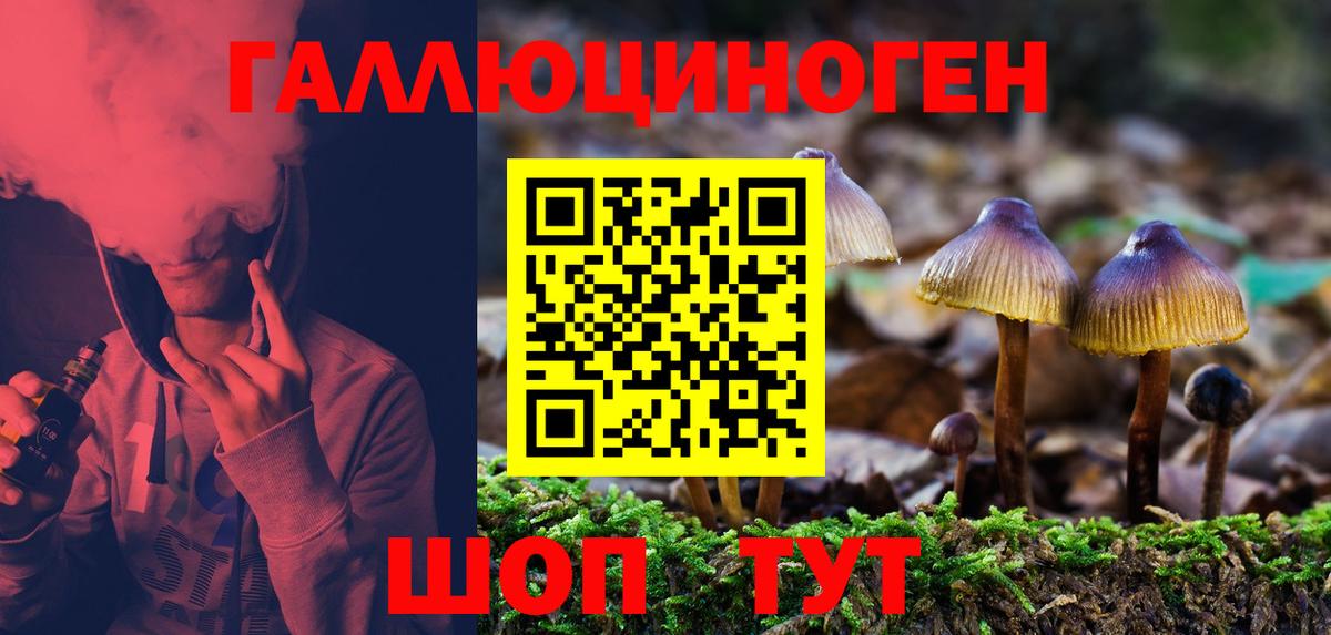Псилоцибиновые грибы GOLDEN TEACHER Тобольск